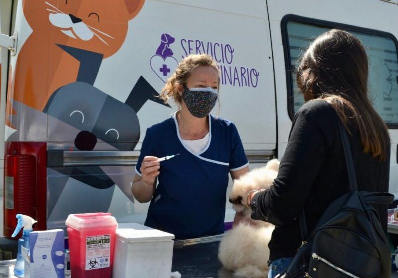 SIGUE LA CAMPAÑA DE VACUNACIÓN ANTIRRÁBICA